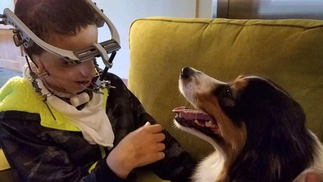 little boy playing with a dog
