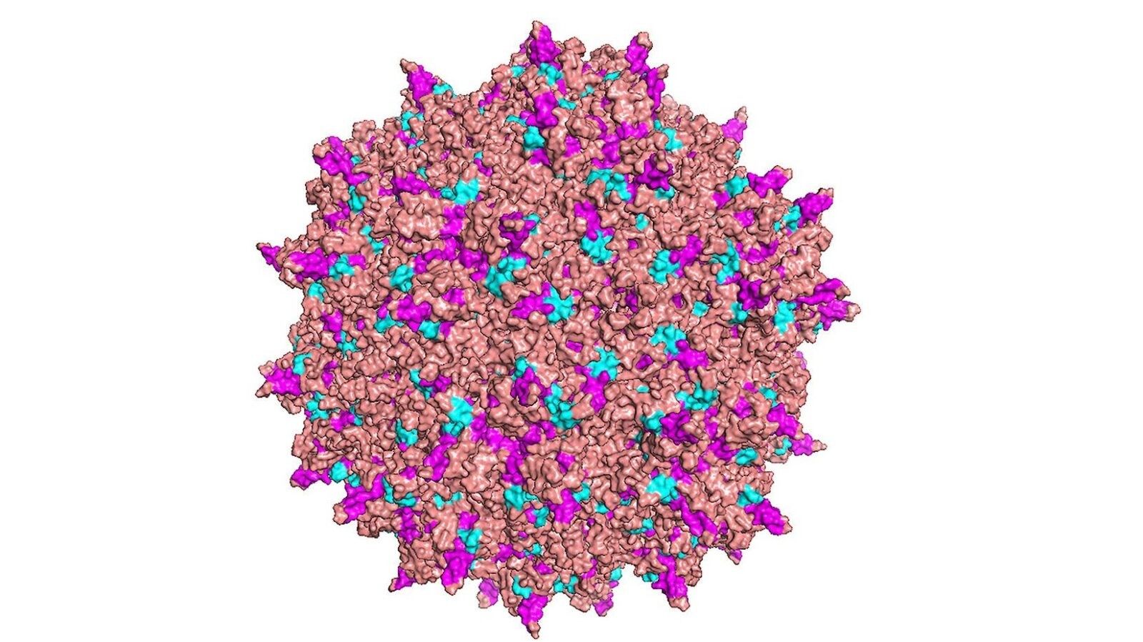 Major Gene Therapy Breakthrough Sparks Hope for People Suffering from ALS