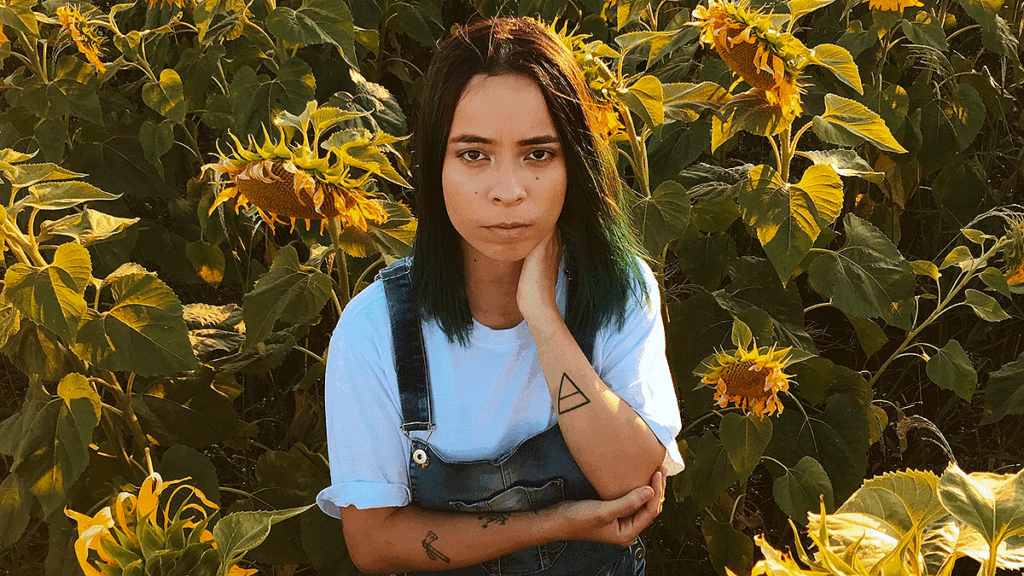 Sunflowers13 1024x576