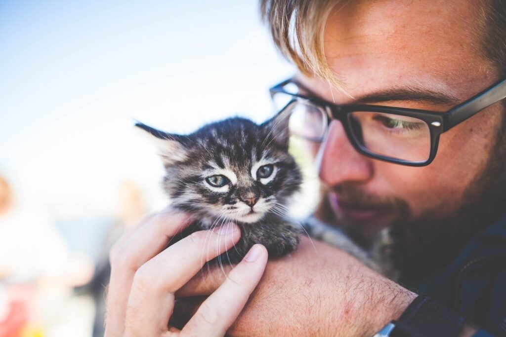 Man with kitten 1024x683