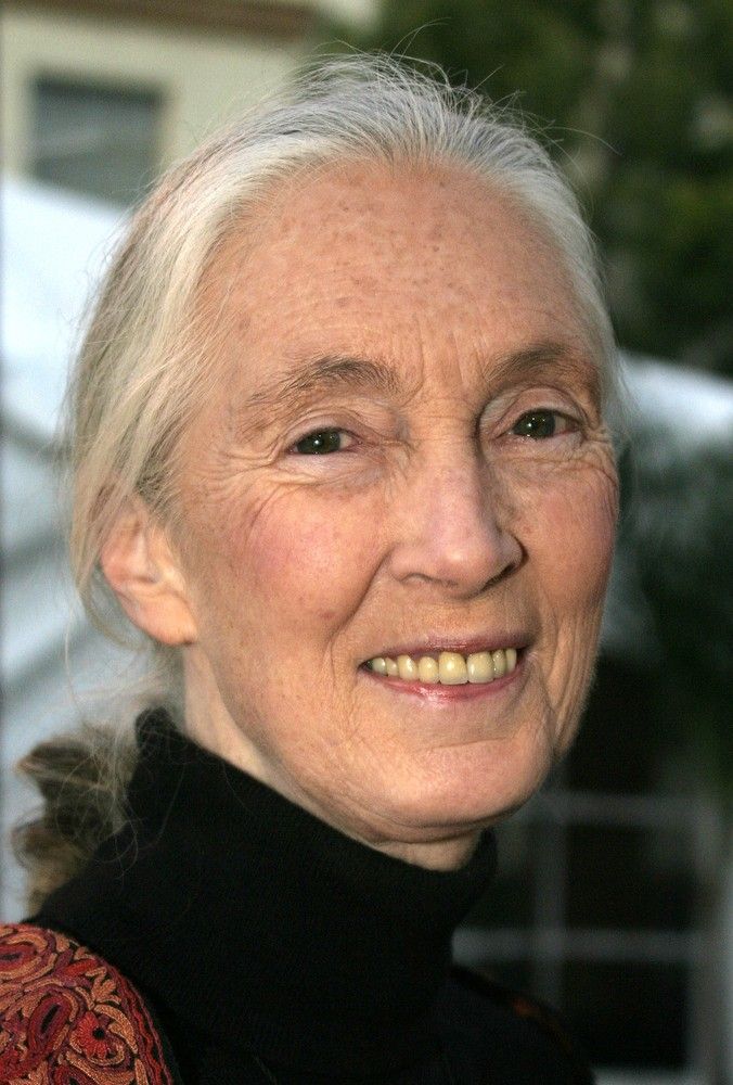 dr-jane-goodall-recent-years