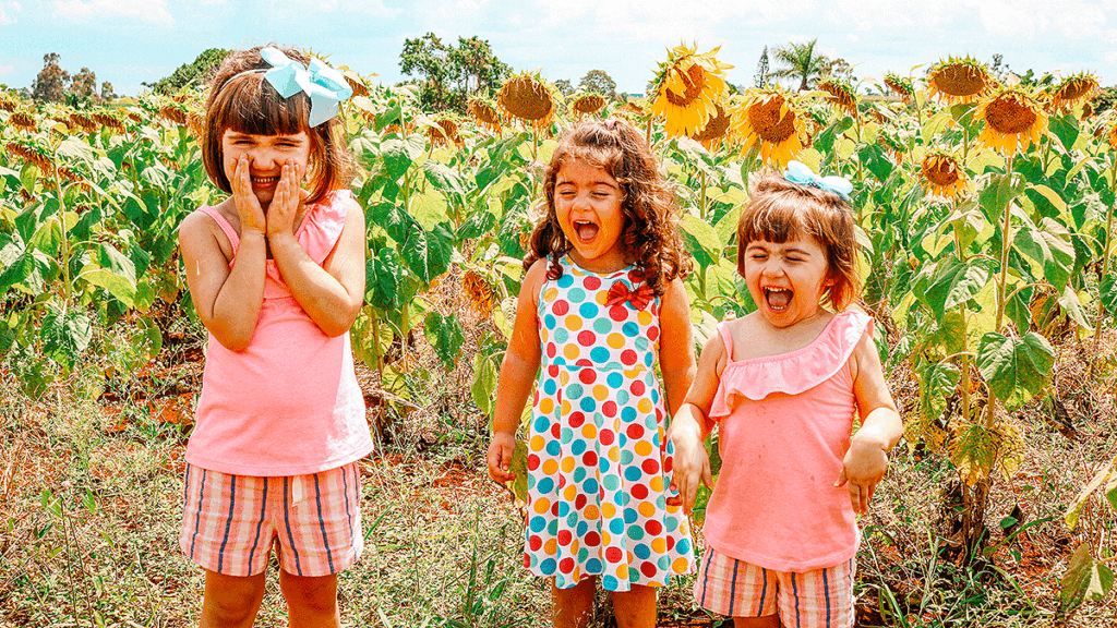 Sunflowers11 1024x576