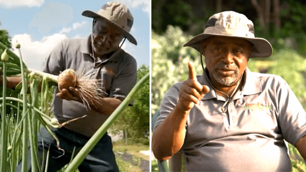 Retired Man Forced to Take Action Against Rising Food Prices - Pledges to Leave the World a Better Place for His Grandchildren