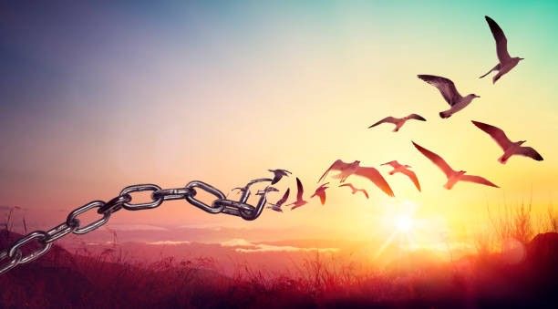 chain to birds 